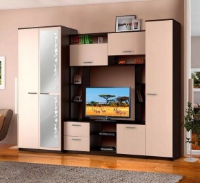 АЛЕКСАНДРА 10 Стенка в Можге - mozhga.ok-mebel.com | фото 2