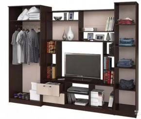 АЛЕКСАНДРА 10 Стенка в Можге - mozhga.ok-mebel.com | фото 3