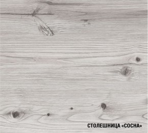 АСАЯ Кухонный гарнитур Экстра 2 (3000 мм) ПМ в Можге - mozhga.ok-mebel.com | фото 8