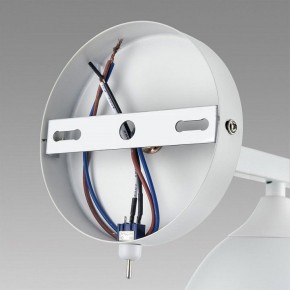 Бра Lumion Colange 8095/1W в Можге - mozhga.ok-mebel.com | фото 6