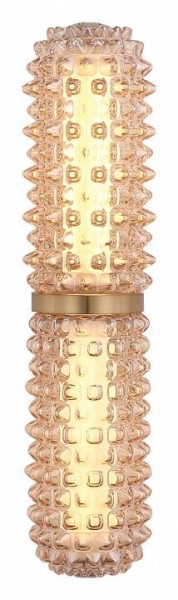 Бра ST-Luce SAGUARO SL6144.301.01 в Можге - mozhga.ok-mebel.com | фото 3