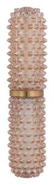 Бра ST-Luce SAGUARO SL6144.301.01 в Можге - mozhga.ok-mebel.com | фото 4