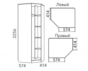 Детская Фанк Шкаф угловой Левый/Правый НМ 013.04-02 М в Можге - mozhga.ok-mebel.com | фото 3