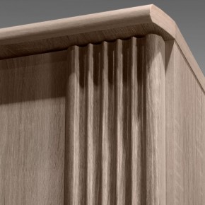 ДИАНА Д11 Шкаф для одежды в Можге - mozhga.ok-mebel.com | фото 7