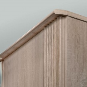 ДИАНА Д11А Шкаф для одежды в Можге - mozhga.ok-mebel.com | фото 5