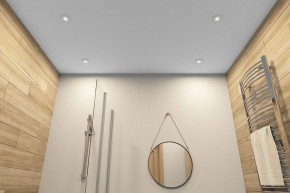 DK2036-WH Встраиваемый светильник влагозащ., IP 44, до 15 Вт, GU10, LED, белый, алюминий в Можге - mozhga.ok-mebel.com | фото 5