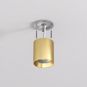 DK2610-SB Накладной светильник SHINE TUBE со светодиодом, D70*H80, IP20, 3000К, 10W, RA?90, сатинированная латунь, алюминий в Можге - mozhga.ok-mebel.com | фото 3