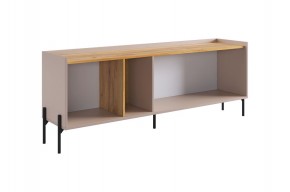 ДОМИНИКА Тумба 2 в Можге - mozhga.ok-mebel.com | фото 4