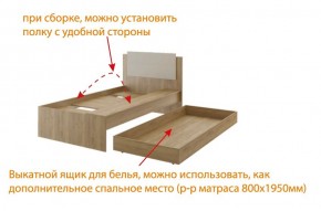 Дуглас (подростковая) М14 Кровать в Можге - mozhga.ok-mebel.com | фото 5