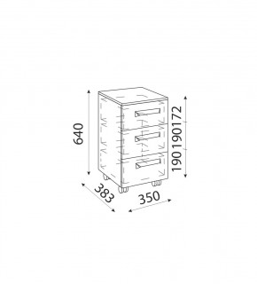 Дуглас подростковая (модульная) в Можге - mozhga.ok-mebel.com | фото 31