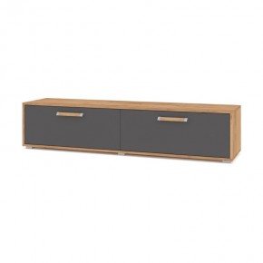 ФЛОРИДА Ф31 Тумба ТВ (дуб золотой/графит) в Можге - mozhga.ok-mebel.com | фото