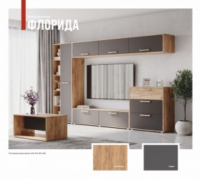 ФЛОРИДА Гостиная (модульная) дуб золотой/графит в Можге - mozhga.ok-mebel.com | фото