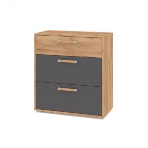 ФЛОРИДА Гостиная (модульная) дуб золотой/графит в Можге - mozhga.ok-mebel.com | фото 8