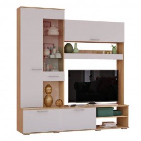 Гостиная Флай (ЦС-01/ШК-04) дуб сонома/белый в Можге - mozhga.ok-mebel.com | фото 3