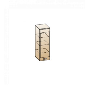 Гостиная Камелия Композиция 9 (Снежный ясень) в Можге - mozhga.ok-mebel.com | фото 2