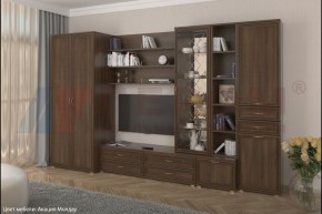 Гостиная Карина Композиция 11 (Акация Молдау) в Можге - mozhga.ok-mebel.com | фото