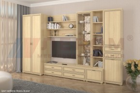 Гостиная Карина Композиция 11 (Ясень Асахи) в Можге - mozhga.ok-mebel.com | фото