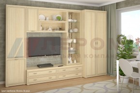 Гостиная Карина Композиция 16 (Ясень Асахи) в Можге - mozhga.ok-mebel.com | фото