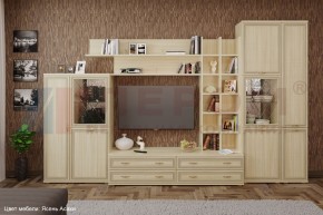 Гостиная Карина Композиция 5 (Ясень Асахи) в Можге - mozhga.ok-mebel.com | фото