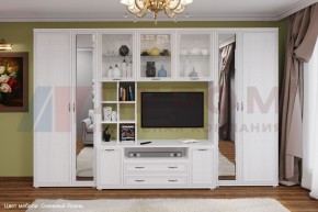 Гостиная Карина Композиция 6 (Снежный ясень) в Можге - mozhga.ok-mebel.com | фото