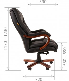 Кресло для руководителя CHAIRMAN  503 (Кожа) Черное в Можге - mozhga.ok-mebel.com | фото 5