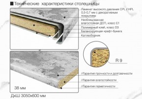 Кухонный фартук со столешницей (А-010) в едином стиле (3050 мм) в Можге - mozhga.ok-mebel.com | фото 7