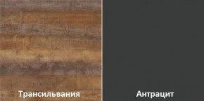 Кухонный гарнитур угловой Трансильвания 2600х1600 мм (Стол. 38 мм) в Можге - mozhga.ok-mebel.com | фото 3