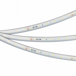 Лента светодиодная Arlight IC-PS-A60-10mm 24V 050656 в Можге - mozhga.ok-mebel.com | фото
