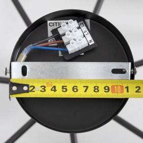 Люстра на штанге Citilux Стивен CL141271 в Можге - mozhga.ok-mebel.com | фото 13