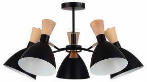 Люстра на штанге EVOLUCE VISTA SLE1256-402-05 в Можге - mozhga.ok-mebel.com | фото