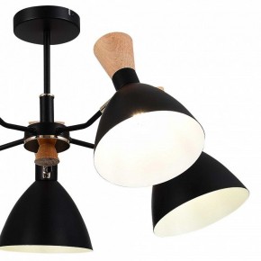Люстра на штанге EVOLUCE VISTA SLE1256-402-05 в Можге - mozhga.ok-mebel.com | фото 10