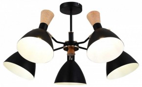 Люстра на штанге EVOLUCE VISTA SLE1256-402-05 в Можге - mozhga.ok-mebel.com | фото 6
