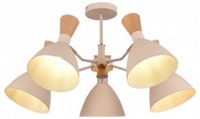 Люстра на штанге EVOLUCE VISTA SLE1256-502-05 в Можге - mozhga.ok-mebel.com | фото 6