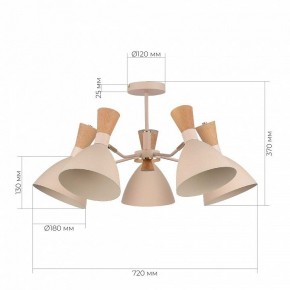 Люстра на штанге EVOLUCE VISTA SLE1256-502-05 в Можге - mozhga.ok-mebel.com | фото 8