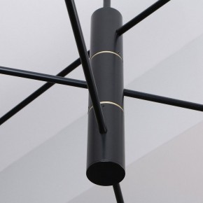 Люстра на штанге Favourite Imma 4375-6P в Можге - mozhga.ok-mebel.com | фото 2