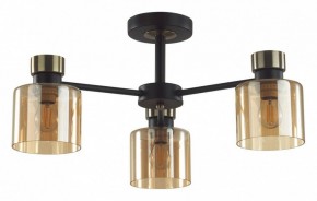 Люстра на штанге Lumion ARLIN 5643/3C в Можге - mozhga.ok-mebel.com | фото