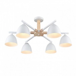 Люстра на штанге Lumion Colange 8095/6C в Можге - mozhga.ok-mebel.com | фото 3