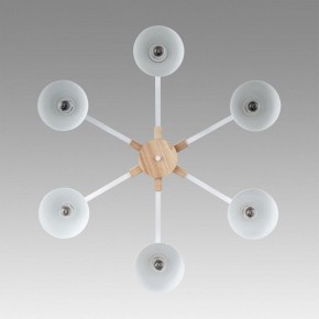 Люстра на штанге Lumion Colange 8095/6C в Можге - mozhga.ok-mebel.com | фото 4