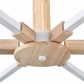 Люстра на штанге Lumion Colange 8095/6C в Можге - mozhga.ok-mebel.com | фото 7