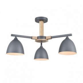 Люстра на штанге Lumion Colange 8096/3C в Можге - mozhga.ok-mebel.com | фото 2