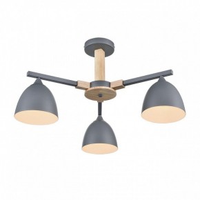 Люстра на штанге Lumion Colange 8096/3C в Можге - mozhga.ok-mebel.com | фото 3