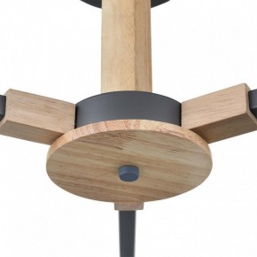 Люстра на штанге Lumion Colange 8096/3C в Можге - mozhga.ok-mebel.com | фото 7