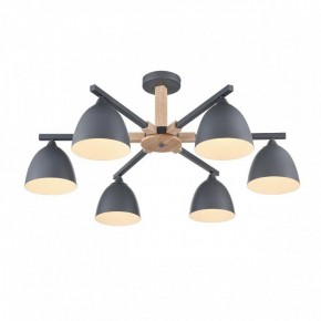 Люстра на штанге Lumion Colange 8096/6C в Можге - mozhga.ok-mebel.com | фото 3