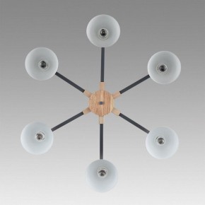 Люстра на штанге Lumion Colange 8096/6C в Можге - mozhga.ok-mebel.com | фото 4