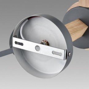 Люстра на штанге Lumion Colange 8096/6C в Можге - mozhga.ok-mebel.com | фото 6
