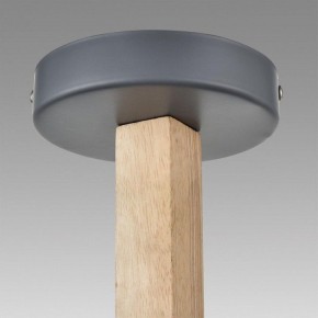 Люстра на штанге Lumion Colange 8096/6C в Можге - mozhga.ok-mebel.com | фото 9