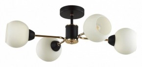 Люстра на штанге Lumion KODI 5646/4C в Можге - mozhga.ok-mebel.com | фото