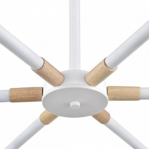 Люстра на штанге Lumion Rosalina 8097/6C в Можге - mozhga.ok-mebel.com | фото 7