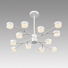Люстра на штанге Lumion TORINA 8265/12 в Можге - mozhga.ok-mebel.com | фото 5