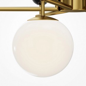 Люстра на штанге Maytoni Museo MOD436PL-07BS в Можге - mozhga.ok-mebel.com | фото 4
